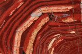 Polished Snakeskin Jasper Slab - Western Australia #95446-1